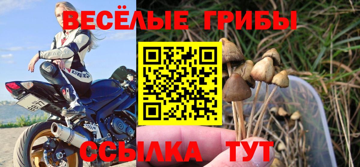 Псилоцибиновые грибы GOLDEN TEACHER  Псилоцибиновые грибы Magic Shrooms  Серов  Вход с VPN 